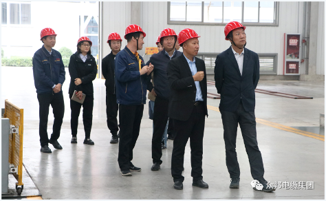 经开区管委会副主任刘可一行深入众邦（西安）电缆集团调研指导工作